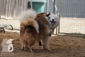 Hutamix-25-08-w25-044