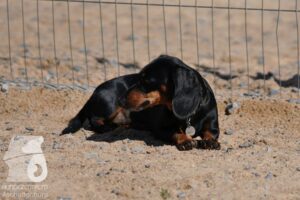 Hutamix-25-08-w25-045