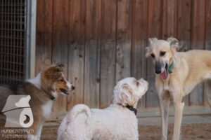 Hutamix-25-08-w25-046