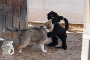 Hutamix-25-08-w25-047