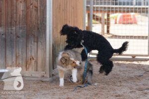 Hutamix-25-08-w25-048