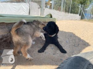 Hutamix-25-09-w01-001