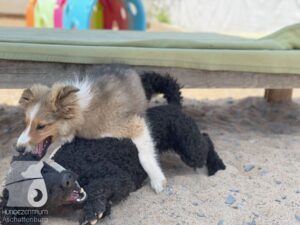 Hutamix-25-09-w01-002