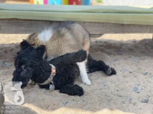 Hutamix-25-09-w01-003