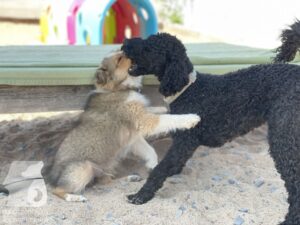 Hutamix-25-09-w01-004