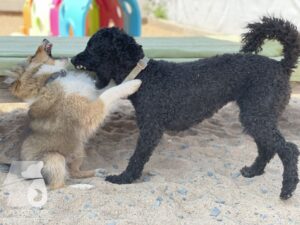 Hutamix-25-09-w01-005