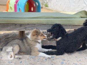 Hutamix-25-09-w01-006