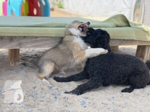 Hutamix-25-09-w01-007