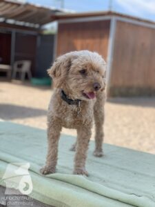 Hutamix-25-09-w01-008