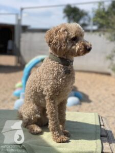 Hutamix-25-09-w01-009