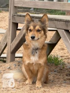 Hutamix-25-09-w01-010