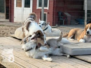 Hutamix-25-09-w01-011