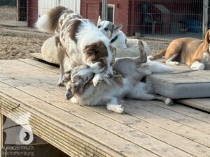 Hutamix-25-09-w01-012