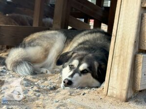 Hutamix-25-09-w01-013