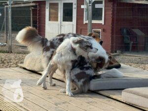 Hutamix-25-09-w01-014