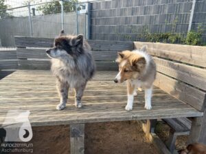 Hutamix-25-09-w01-015