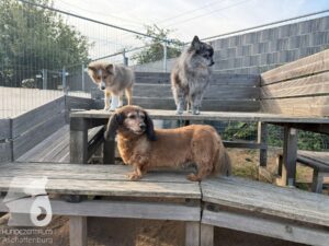 Hutamix-25-09-w01-016