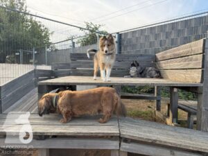 Hutamix-25-09-w01-017