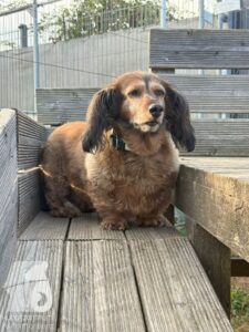 Hutamix-25-09-w01-018