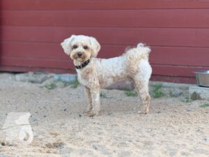 Hutamix-25-09-w01-019