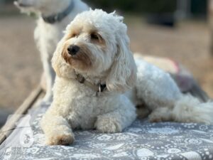 Hutamix-25-09-w01-020