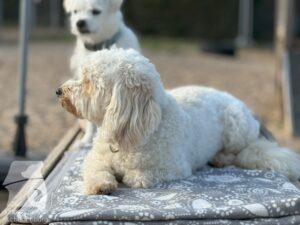 Hutamix-25-09-w01-021