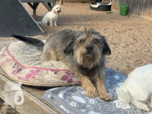 Hutamix-25-09-w01-023