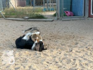 Hutamix-25-09-w01-024