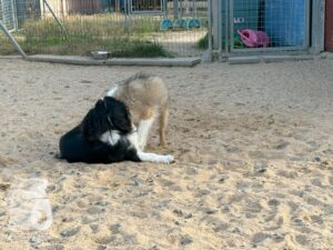 Hutamix-25-09-w01-025