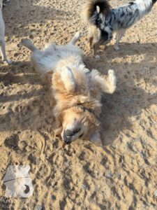 Hutamix-25-09-w01-026