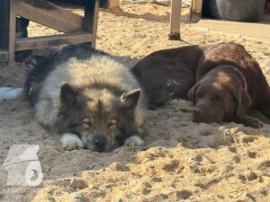 Hutamix-25-09-w01-027