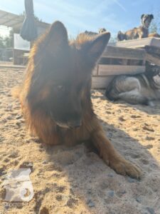 Hutamix-25-09-w01-028