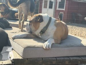 Hutamix-25-09-w01-029