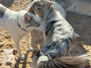 Hutamix-25-09-w01-030