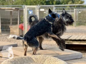 Hutamix-25-09-w01-031