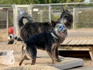 Hutamix-25-09-w01-032