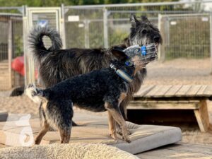 Hutamix-25-09-w01-033