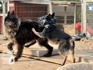 Hutamix-25-09-w01-034