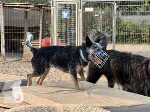 Hutamix-25-09-w01-035