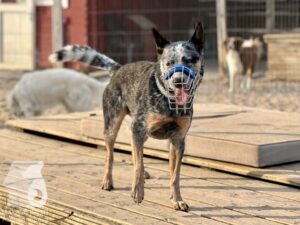 Hutamix-25-09-w01-036