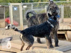 Hutamix-25-09-w01-037