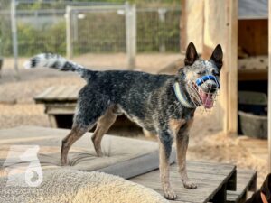 Hutamix-25-09-w01-038