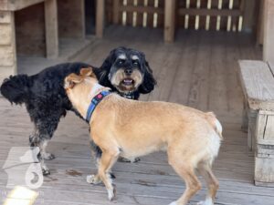 Hutamix-25-09-w01-039