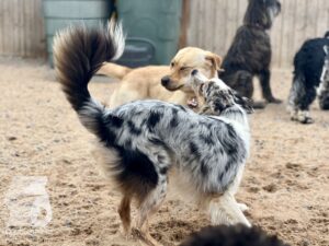 Hutamix-25-09-w01-040