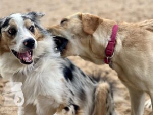 Hutamix-25-09-w01-041