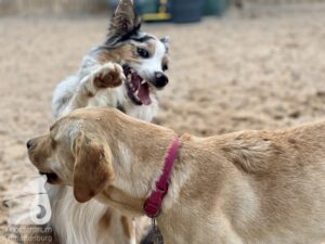 Hutamix-25-09-w01-042