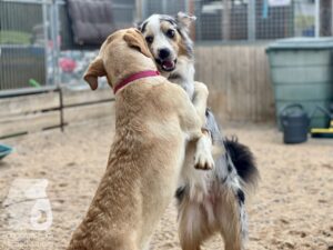 Hutamix-25-09-w01-043