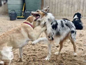 Hutamix-25-09-w01-044