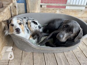 Hutamix-25-09-w01-045