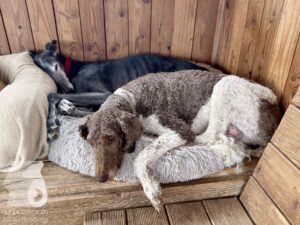 Hutamix-25-09-w01-046